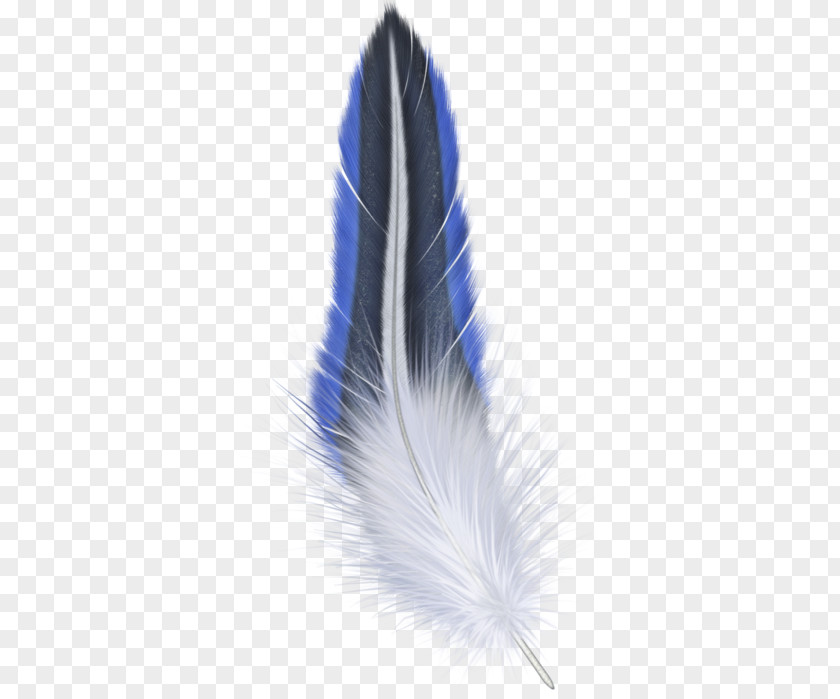 Feather Image File Formats PNG