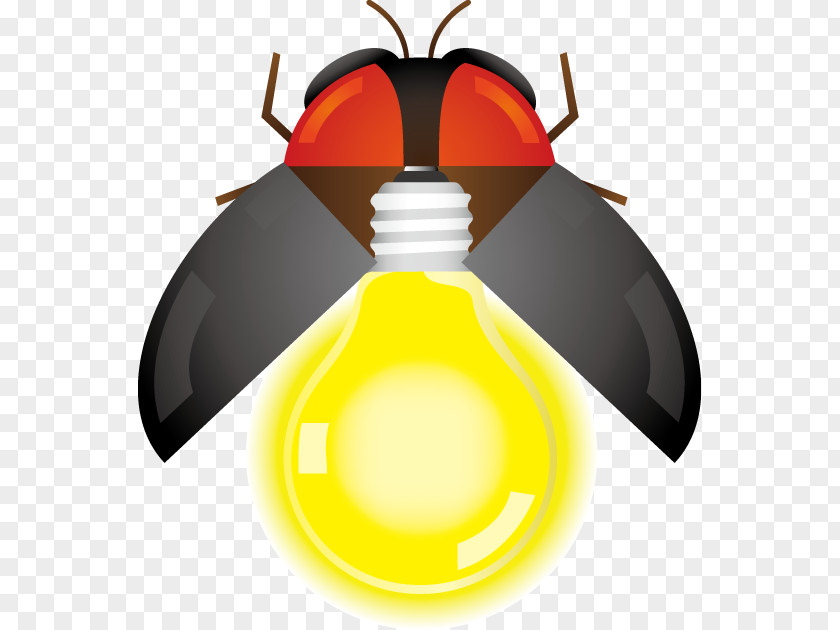 Firefly Insect Illustration Clip Art Yellow PNG