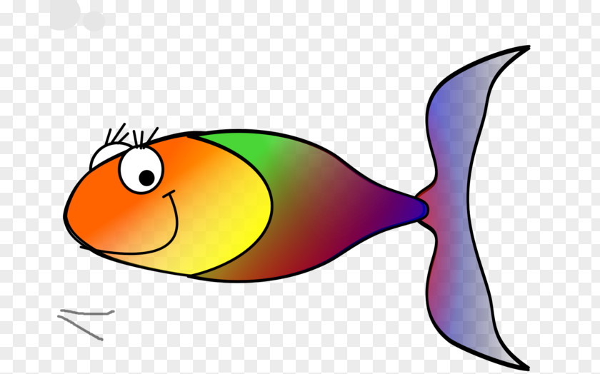 Fish Fin Drawing Rainbow Clip Art PNG
