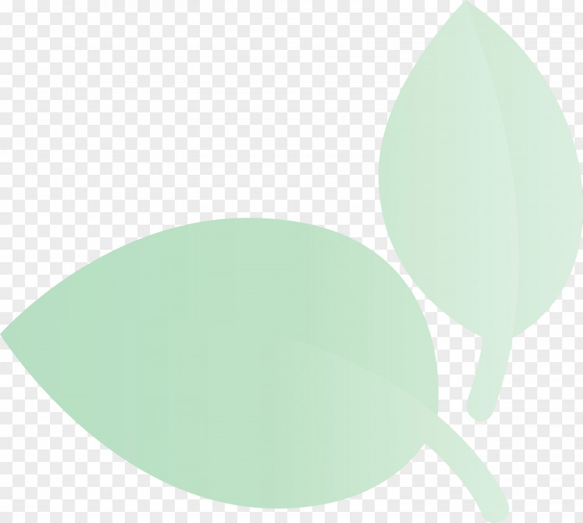 Green Leaf Aqua Plant Oval PNG