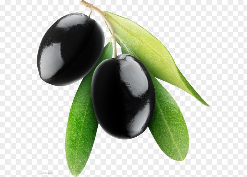 Jamun Tapenade Greek Cuisine Olive PNG