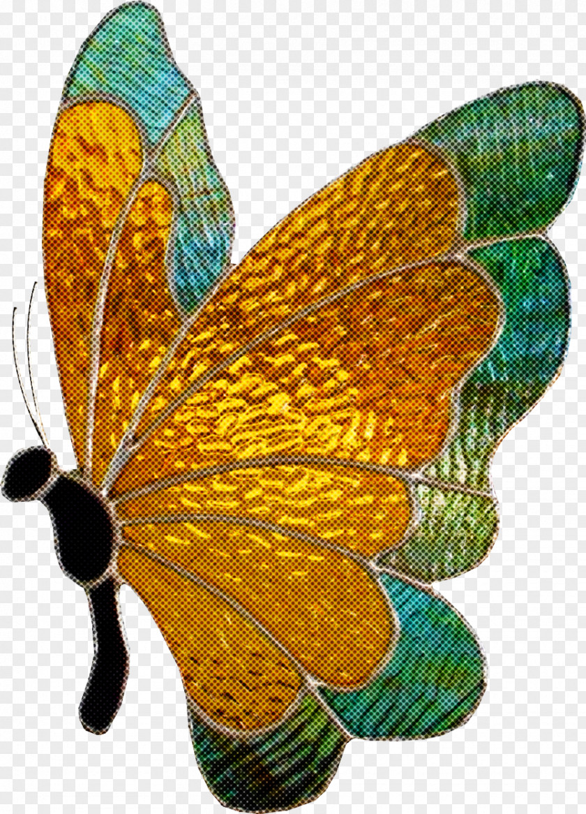 Monarch Butterfly PNG