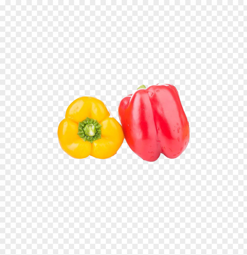 Colorful Pepper Habanero Bell Capsicum Frutescens Chili Vegetable PNG