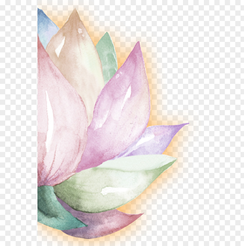 Lotus Watercolor Painting PNG