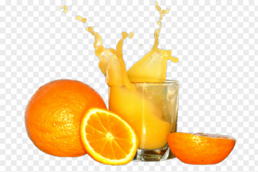 Natural Juice Orange Drink Milkshake SunnyD PNG