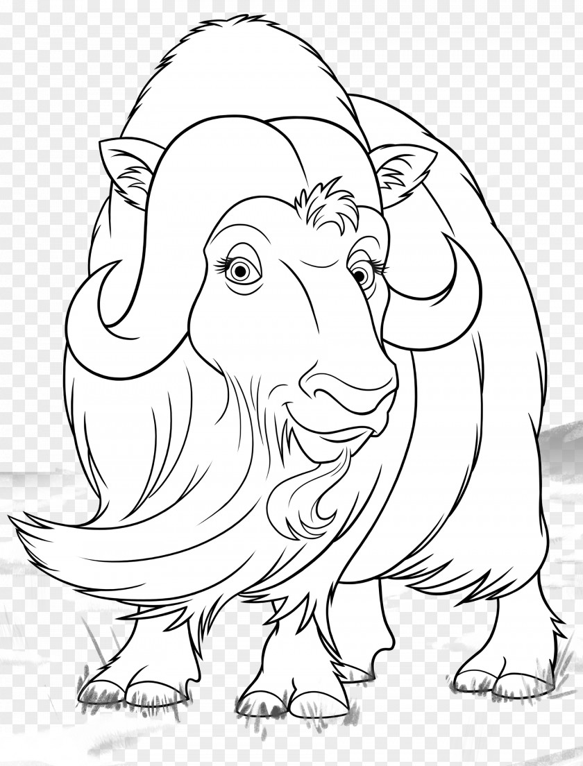 Ox Line Art Drawing Clip PNG