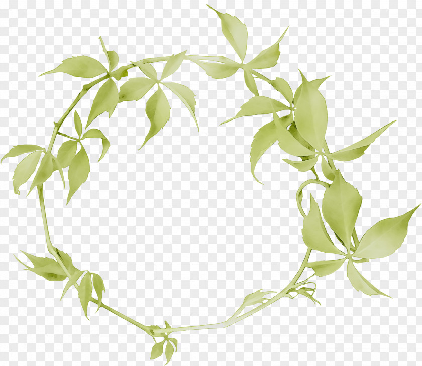 Product Flower Plant Stem Leaf PNG