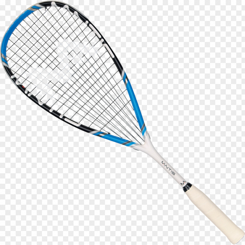 Sports Squash Racket Sport Badminton Sweet Spot PNG