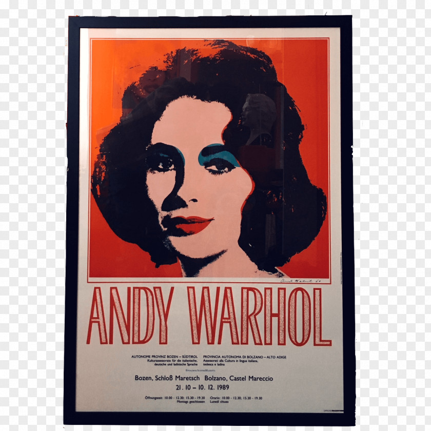 Andy Warhol Elizabeth Taylor Liz The Museum Pop Art PNG