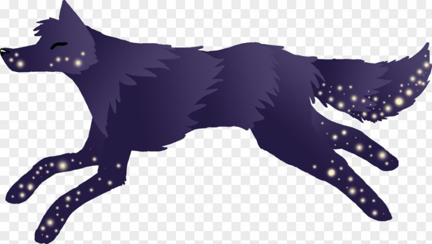 Dog Whiskers Cat Paw Snout PNG