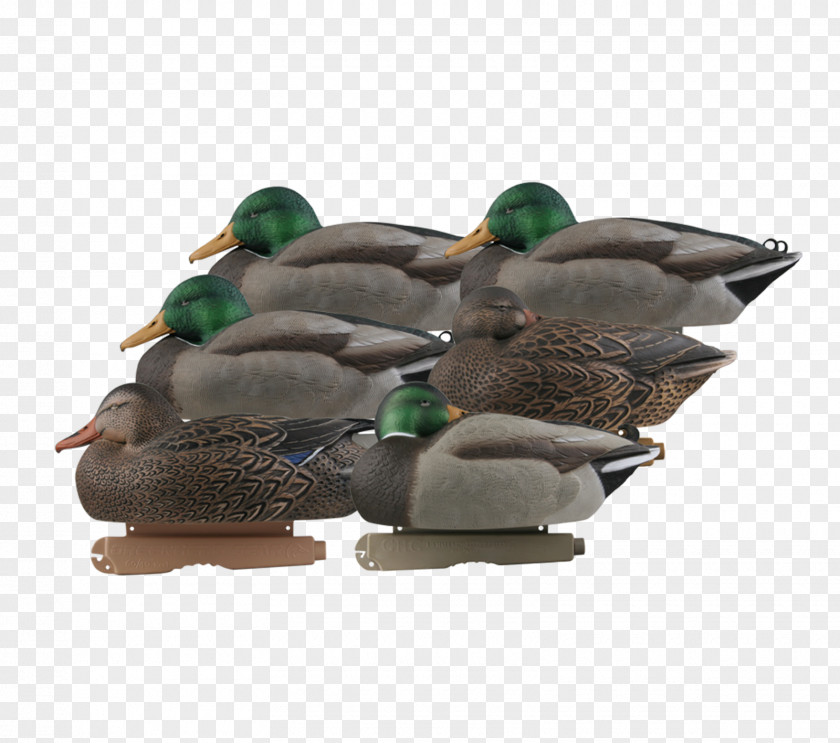 Duck Mallard Decoy Goose PNG