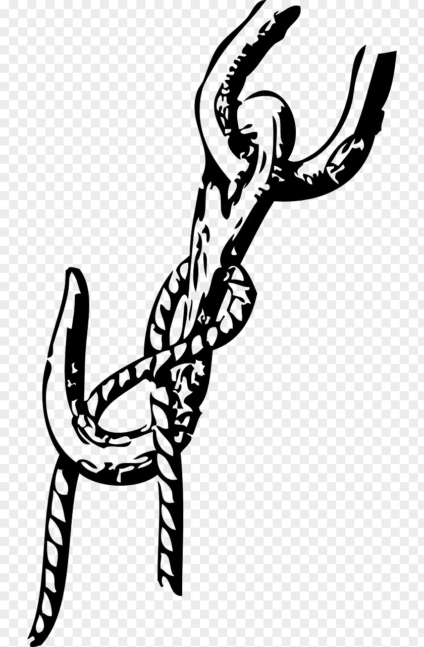 Infinity Knot Seizing Clip Art PNG
