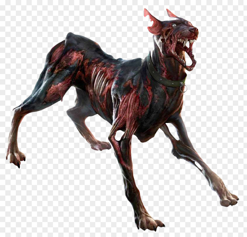 Italian Greyhound Zombie PNG Zombie, Dog, zombie doberman clipart PNG