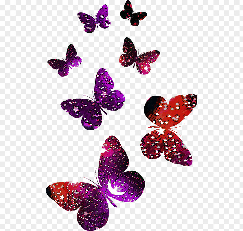 Abstract Colorful Butterfly Pattern Logo PNG
