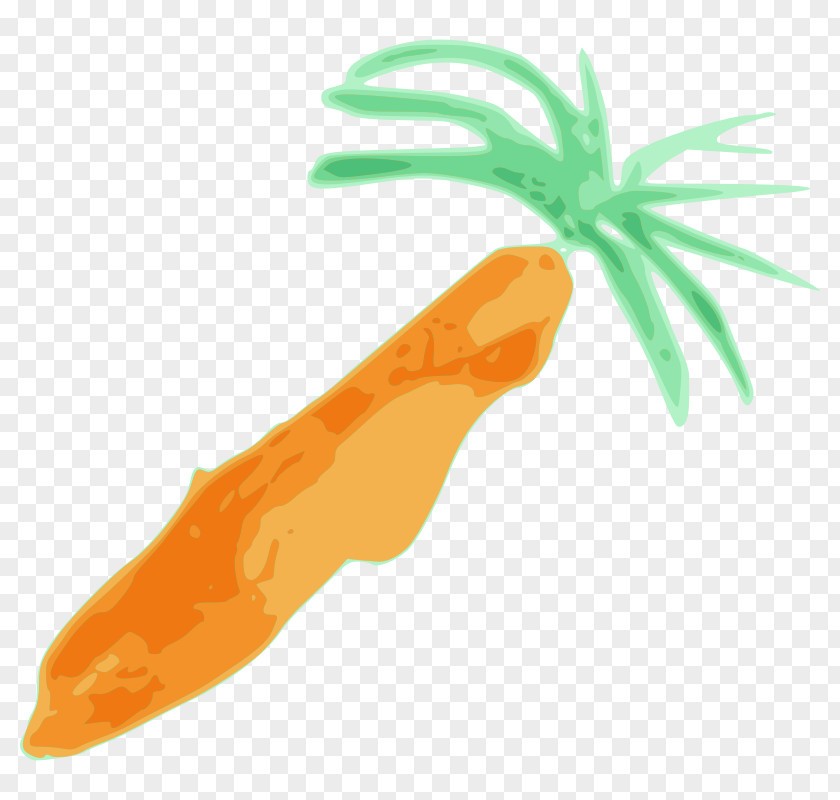 Carrot Picture Baby Clip Art PNG