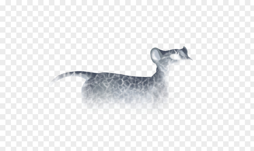 Cat Whiskers Dog Mammal Fauna PNG