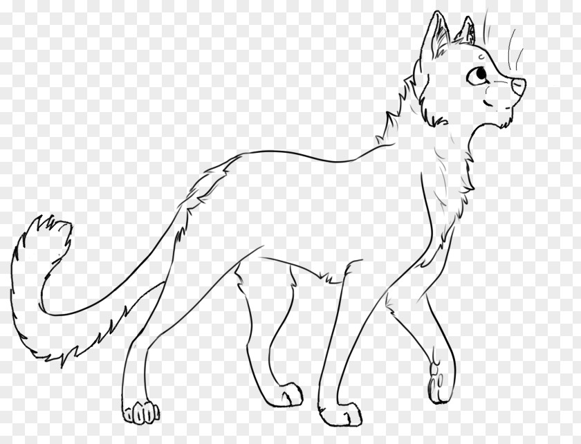 Cat Whiskers Wildcat Dog Red Fox PNG