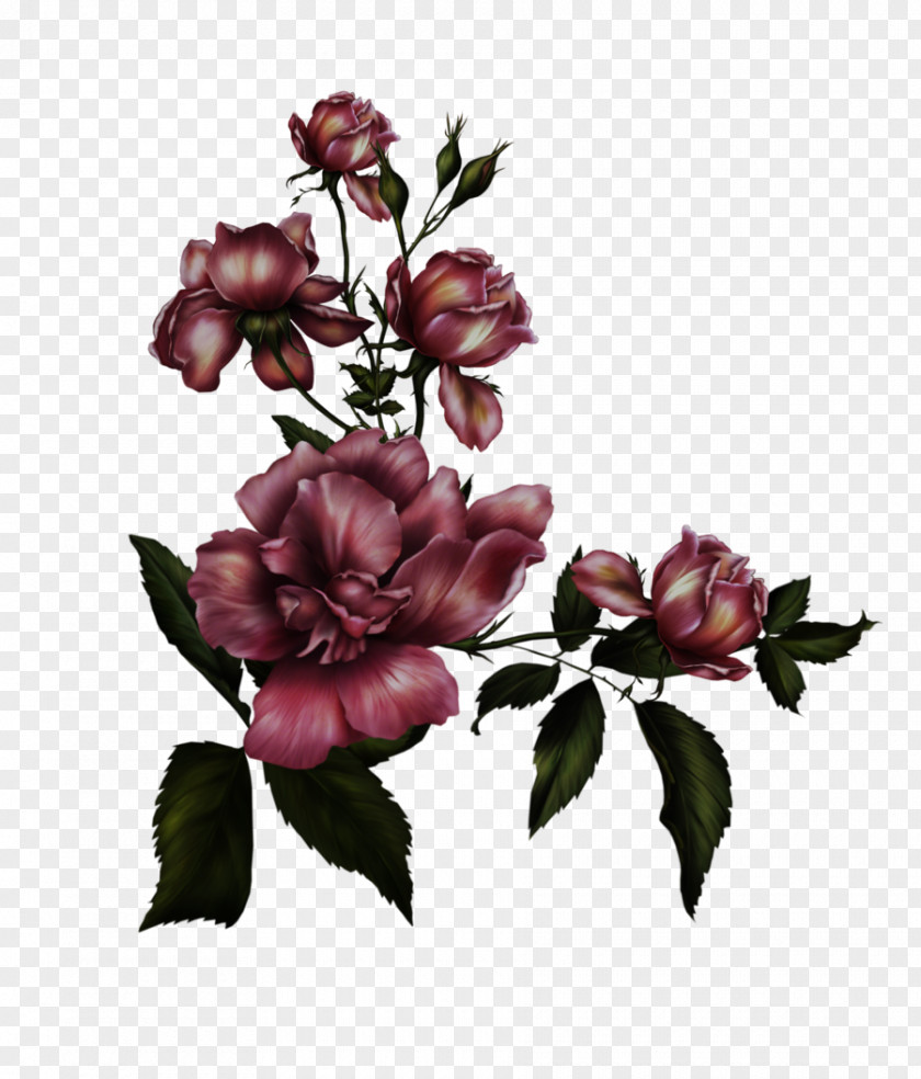 Gothic Rose Transparent Background Architecture Flower DeviantArt Ornament: Architectural Motifs From York Cathedral Clip Art PNG