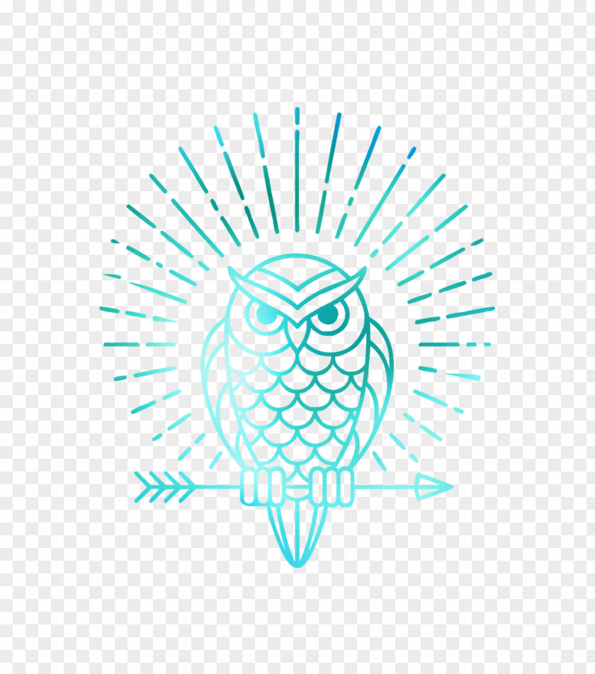 Owl Vector Graphics Royalty-free Logo Illustration PNG