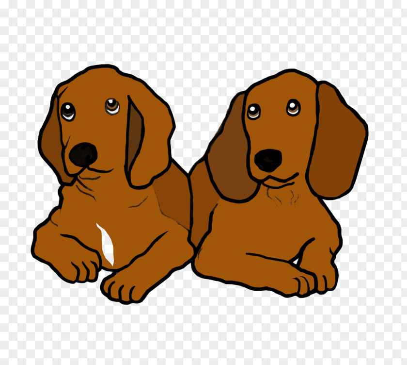 Puppy Dog Breed Dachshund Companion Whiskers PNG