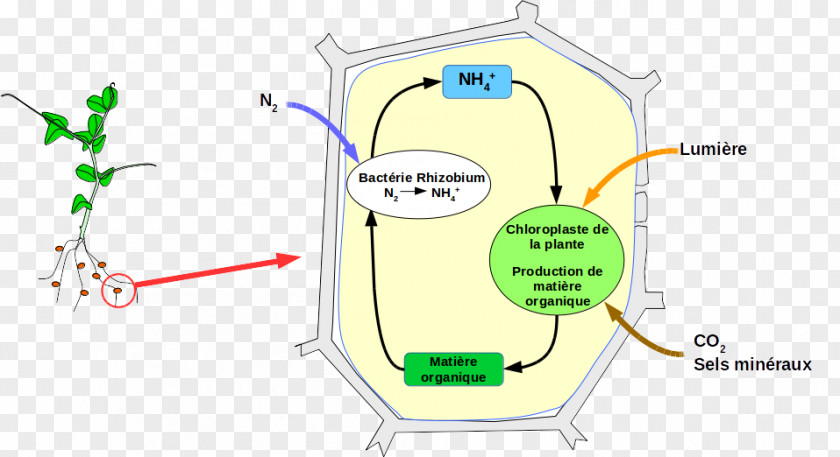 Technology Diagram PNG