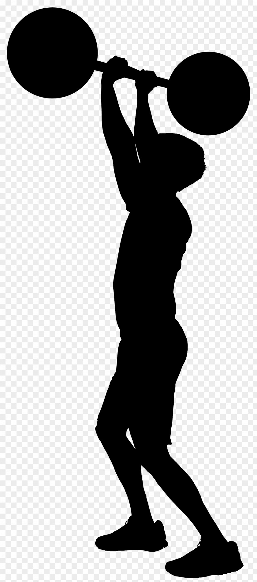 Weightlifting Exercise Silhouette Endurance Athlete Fitness Centre PNG