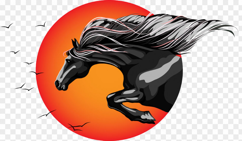 Horses Soar Horse Drawing PNG