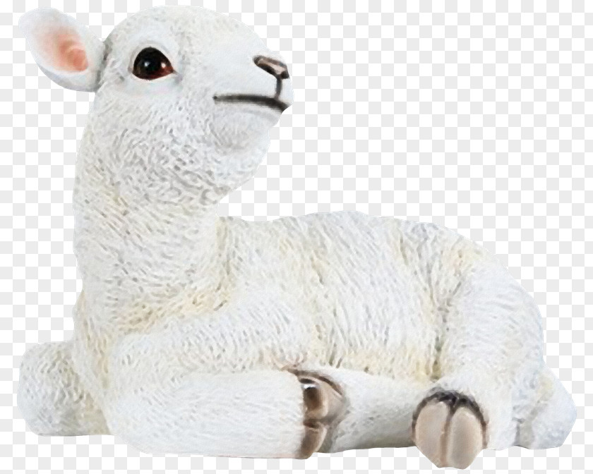 Hq Pictures Sheep Goat Wool Glass Fiber PNG