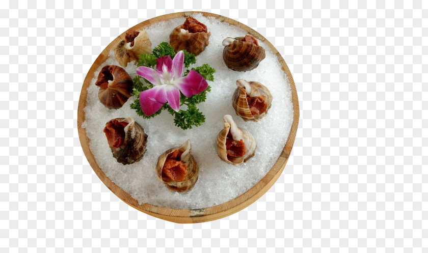 Iced Conch Vegetarian Cuisine Plate Recipe Dish Finger Food PNG