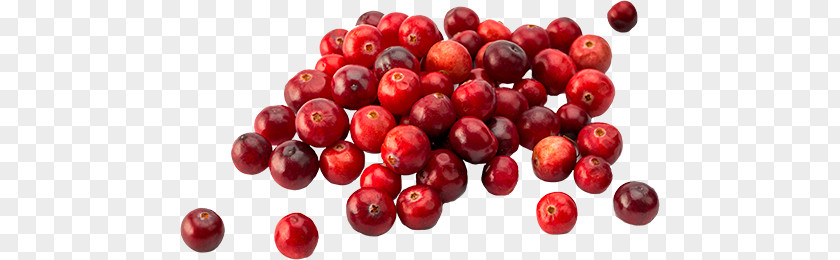 Pink Peppercorn Zante Currant Barbados Cherry Food Lingonberry PNG