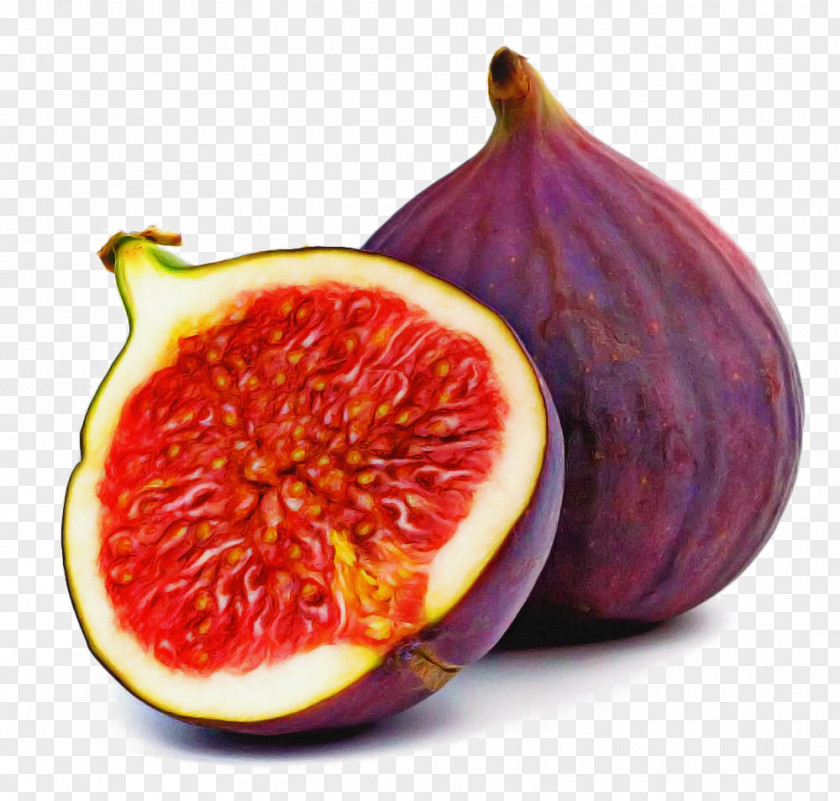 Superfruit Ingredient Fig Tree PNG
