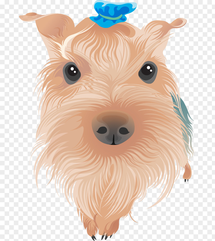 Vector Painted Dog Yorkshire Terrier Airedale Bull Boston PNG