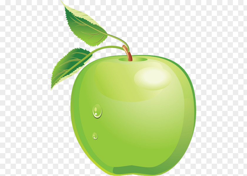 Apple Download Granny Smith Clip Art PNG