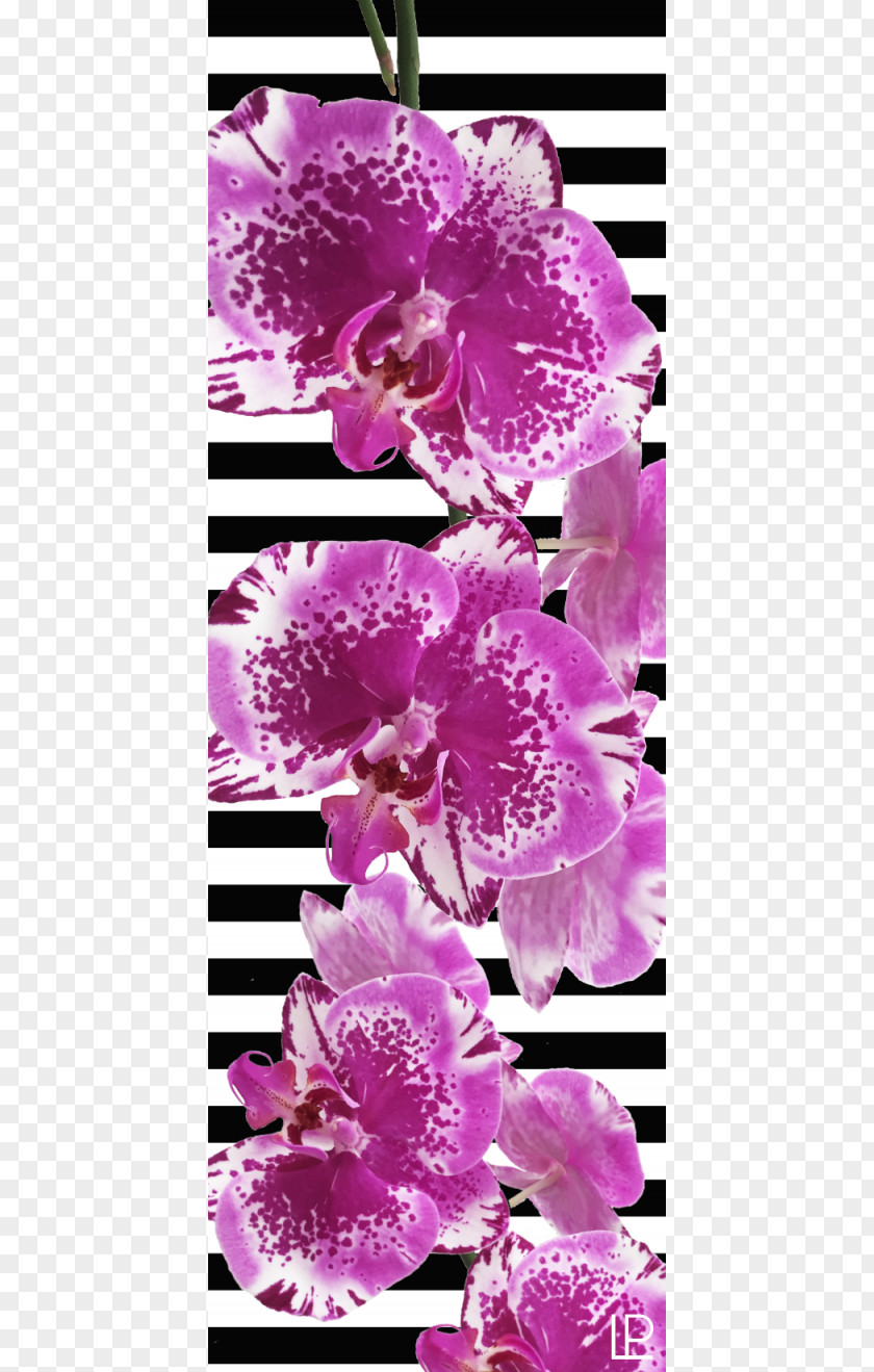 Bougainvillea Lilac Yoga & Pilates Mats Violet Purple PNG