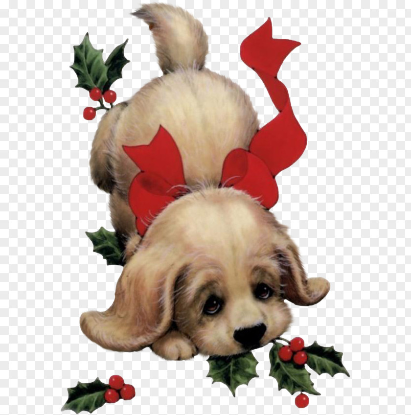 Dog Puppy Santa Claus Christmas Card PNG