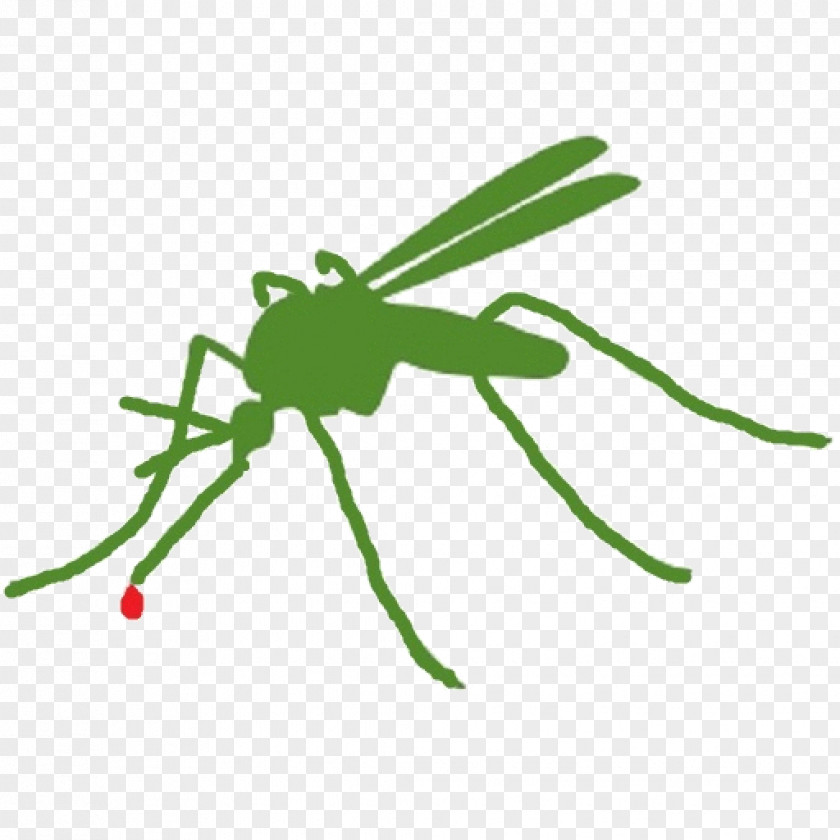 Mosquito Control Insect Pest Citronella Oil PNG