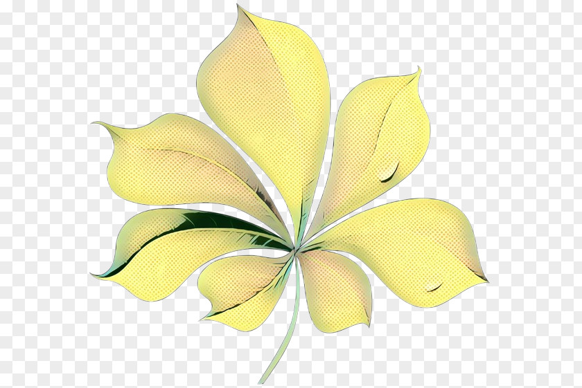 Plant Flower Flowers Background PNG