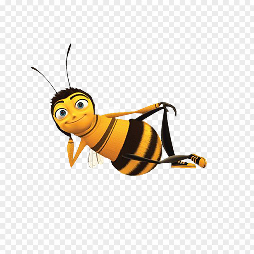 Bee PNG Bee,small animals,cartoon clipart PNG