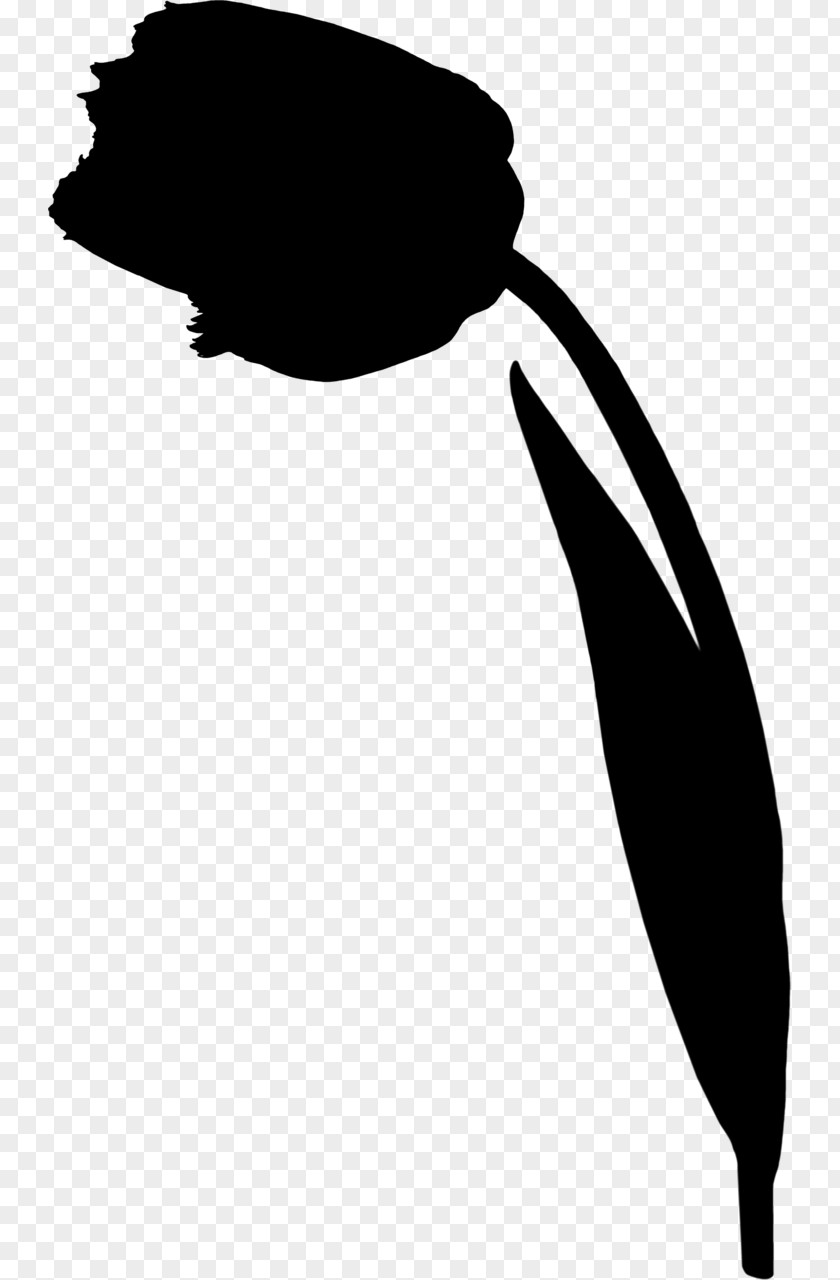 Bird Clip Art Leaf Beak Silhouette PNG