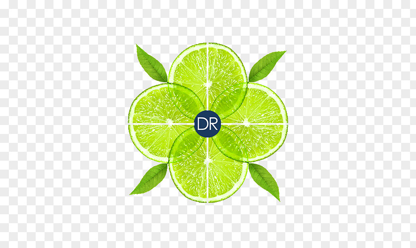 Citron Vert Key Lime Institut De Beauté Anglet : Bask Persian Lemon PNG