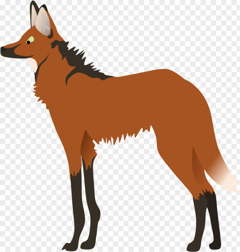 Maned Wolf Red Fox Nyala Gray Bongo Male PNG