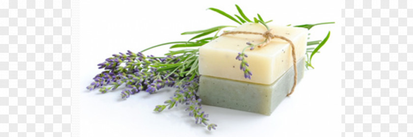Natural Soap Cosmetics Essential Oil Shampoo Skin PNG