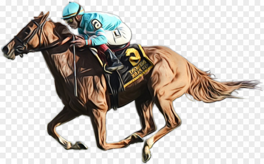 Racing Rodeo Horse Animal Sports Rein Working PNG