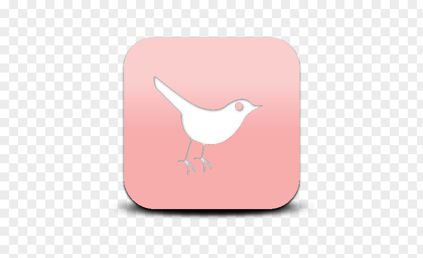 Bird Beak PNG