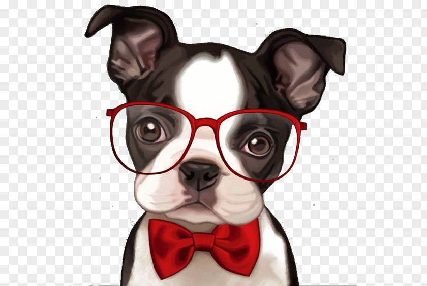 Cartoon Bulldog French Boston Terrier Pug Bichon Frise PNG