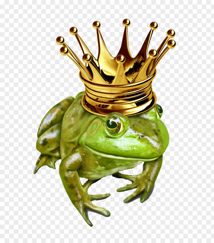Frog Prince The Stock Illustration Photography PNG