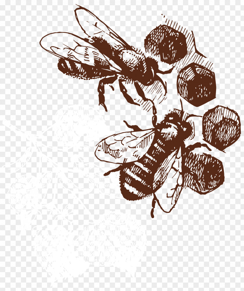 Hand-painted Small Bee Vector Honey Honeycomb Clip Art PNG