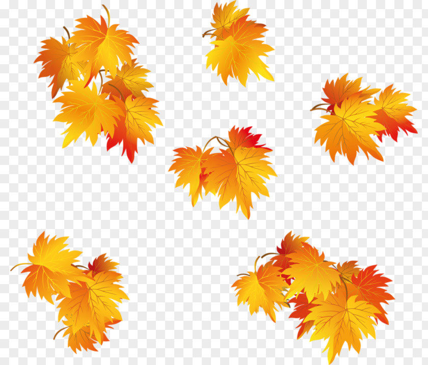 Leaf Autumn Clip Art PNG