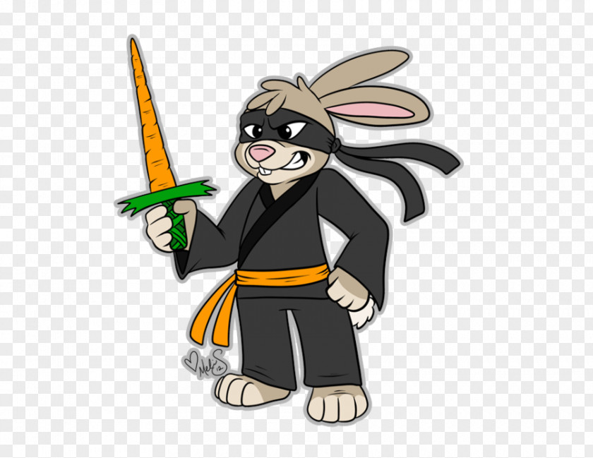 Ninja Lego Ninjago Rabbit Fur Ohio State Taekwondo Championship PNG