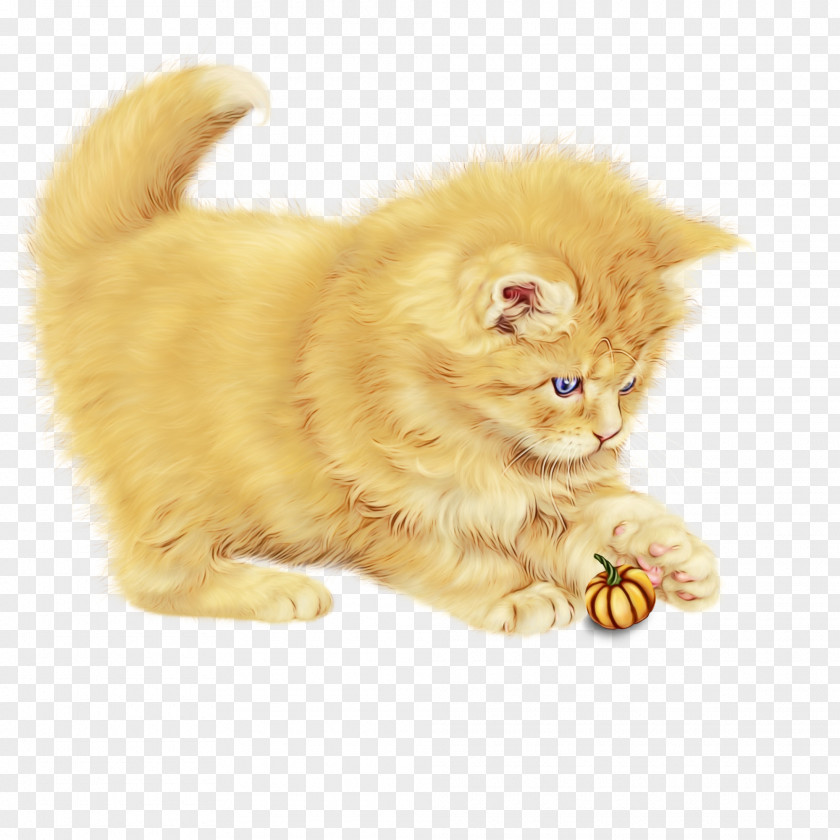 Cat Small To Medium-sized Cats Persian Yellow Whiskers PNG